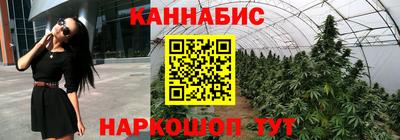 спиды Гусев